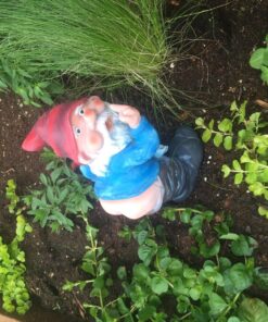 Funny Guy Mugs Middle Finger Gnome Statue - Mooning Gnome - Indoor or Outdoor Garden Gnome Sculpture for Patio, Yard or Lawn - Funny Gnomes Inappropriate Gifts - Naughty Gnomes 25 81WINr90yOL