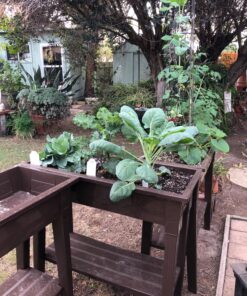 Adams Manufacturing 9303-60-3700 36-Inch Deluxe Garden Planter, Earth Brown 40 81WNds2nM9L