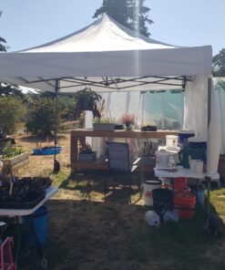 ABCCANOPY Patio Pop Up Canopy Tent 10x10 Commercial-Series (White) White 31 81WOSzxBZ1L