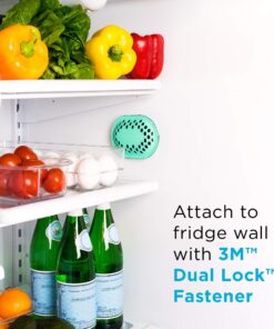 remodeez Refrigerator Deodorizer Eliminator, Nontoxic Coconut, Activated Charcoal, Natural Air Fresheners, Moisture & Odor Absorber for Fridge (Green) 19 81WOvIdhIuL