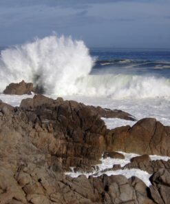 Kodak PIXPRO Friendly Zoom FZ43-RD 16MP Digital Camera with 4X Optical Zoom and 2.7" LCD Screen (Red) Red 14 81WP4KuukPL