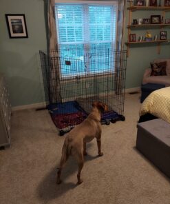 MidWest Homes for Pets Foldable Metal Dog Exercise Pen / Pet Playpen, Black w/ door, 24'W x 48'H, 1-Year Manufacturer's Warranty 48" H 38 81WPrU7PVlL