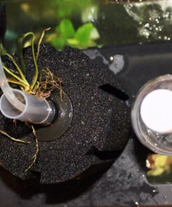 uxcell XINYOU XY-380 Aquarium Fish Tank Biochemical Sponge Filter, 4-1/2-Inch (1-Pack) 1-pack 31 81WTFQKMPFL