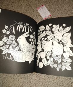 Nightfall Coloring Book: Originally Published in Sweden as "Skymningstimman" 51 81WUjGBDG3L