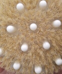 Dry Brushing Body Brush - Best for Exfoliating Dry Skin, Lymphatic Drainage and Cellulite Treatment - Organic Spa Exfoliator and Massage Scrub Brush with Natural Boar Bristles 1 Count (Pack of 1) 47 81WVrLHc2L