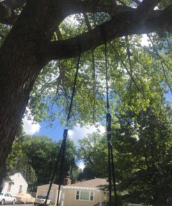 SUPER DEAL 40'' Spider Web Tree Swing Round Net Swing Platform Rope Swing Set for Kids Adult, 71" Detachable Nylon Rope with Swivel for Outdoor Backyard, Max 660 Lbs Extra Safe Steel Frame, Black 40 inch 43 81WazzyBkL