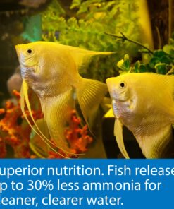 API TROPICAL FLAKES Fish Food 5.7-Ounce Container 5.7 Ounce (Pack of 1) 21 81Wdbm1f0oL