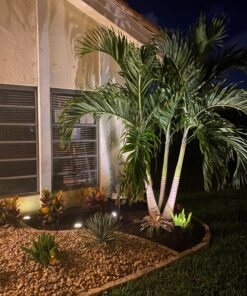 Biling Solar Ground Lights, Solar Disk Lights (8 LEDs /4 Pack) Outdoor Waterproof Solar Garden Lights for Pathway Outdoor in-Ground Lawn Yard Deck Patio Walkway - Warm White 43 81WfGF581CL