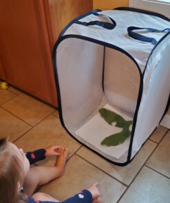 RESTCLOUD Insect and Butterfly Habitat Cage Terrarium Pop-up 23.6 Inches Tall White With Black 15.7 x 15.7 x 23.6 inches 36 81WmEvnr9ZL