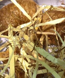 Praying Mantis (5) Egg Cases with Habitat Cup- 5 Egg Cases & 1,500 Live Ladybugs 49 81Wn2ygJx1L 1