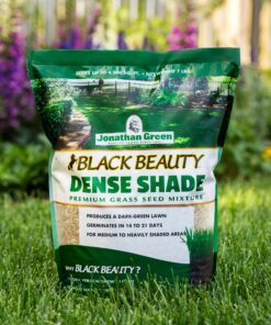 Jonathan Green (10622) Black Beauty Dense Shade Grass Seed - Cool Season Lawn Seed (1 lb) 1 lb 19 81WoMEhZFGL