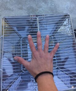 Quick Grill Medium: Original Folding Charcoal BBQ Grill Made from Stainless Steel/Carrying Bag for Backpacking Included / 47 81Woe7DVyBL