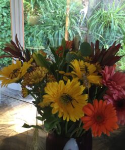 Fun Express - Plastic Spiders for Halloween - Toys - Character Toys - Misc Character Toys - Halloween - 144 Pieces 1 14 81Wp1Ja3tL