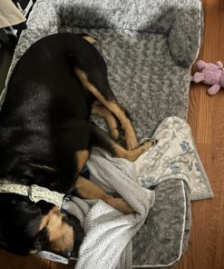 WNPETHOME Dog Beds for Extra Large Dogs, Washable, Bolster Sofa Bed with Waterproof Lining & Non-Skid Bottom, Orthopedic Egg Foam Couch for Pet Sleeping, Pet Bed 42.0"L x 30.0"W x 7.0"Th Grey 34 81WtGXbmgFL