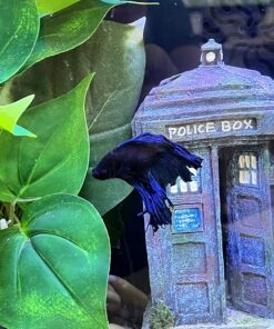 Ocean Nutrition Betta Pellets 2.65-Ounces (75 Grams) Jar 2.64 Ounce (Pack of 1) 32 81Wwcjx9OFL