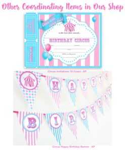 Carousel LARGE Invitations AR - 20 Invitations 20 Envelopes - Carnival Invitations - Circus Invitations 11 81WyUhd1i1L
