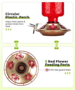 BOLITE Hummingbird Feeder, 18005 Glass Hummingbird Feeders for Outdoors Hanging, 5 Feeding Stations, 22 Ounces, Red Bottle, Xmas Gifts for Bird Lovers Red Elixir Bottle 29 81WzeOwSMIL