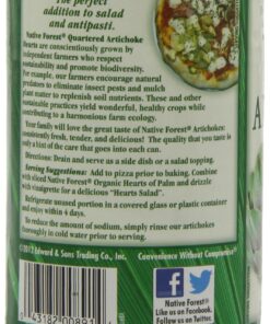 Native Forest Artichoke Hearts Quartered, 14 Ounce Cans (Pack of 6) 14 Ounce (Pack of 6) 15 81X2viupEL