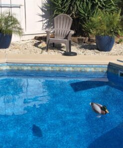 Poolmaster Adustable Chlorine Dispenser for Swimming Pools and Spas, Mallard 33 81X3467CCRL