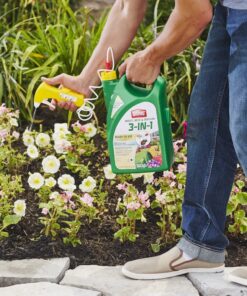 Ortho Insect Mite & Disease 3-in-1 Ready-To-Use, Aerosol, 1 gal. 128 Fl Oz (Pack of 1) 11 81X56D3Fa6L