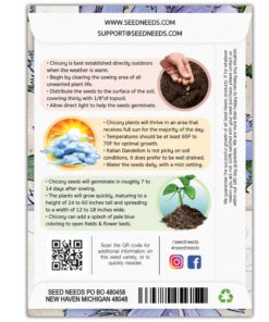 Seed Needs, Chicory Seeds - 500 Heirloom Seeds for Planting Cichorium intybus - Blue Floweres/Wildflowers, Non-GMO & Untreated, Italian Dandelion (2 Packs) 2 Packs (1,000 Seeds) 10 81X5izNxdVL