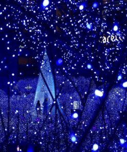 Joomer Blue Battery Chrismas Lights, 33ft 100LED Fairy Lights Battery Operated Timer 8 Modes Waterproof for Outdoor Home Garden Party Holiday Christmas Trees Decoration 10 81X66QKCLGL