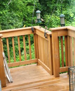 Kaytee Nut and Fruit Blend, 20-Pound 20 Pound (Pack of 1) 20 81X6Jw hUWL