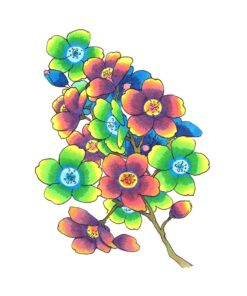 Copic Ciao, Alcohol-based Markers, 6pc Set, Brights Brights - Vibrant primary and secondary colors: R32, Y06, YG06, B00, B05 and V17 10 81XAbxP3oNL