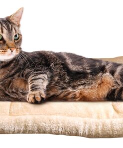 Kitty Shack - 2 in 1 Tube Cat Mat and Bed, Pet Accessories 29 81XBy3rScYL