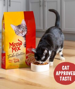 Meow Mix Tender Centers Dry Cat Food, Salmon & Chicken, 13.5 Pound Bag 13.5 Pound (Pack of 1) 25 81XHwPaWtEL