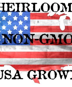 Bell Pepper Seeds for Planting - California Wonder - Heirloom Non-GMO Pepper Seeds for Planting - 100 Seeds - Sweet Pepper Matures from Green to Red by RDR Seeds 21 81XJJP8J VL