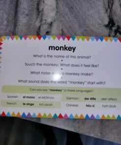 My First Touch and Feel Picture Cards: Animals (My First Board Books) 53 81XSXi2zh1L