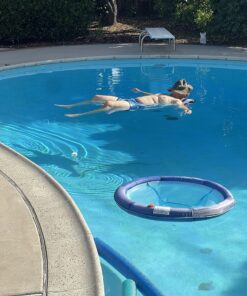 Aqua Original 4-in-1 Monterey Hammock Pool Float & Water Hammock – Multi-Purpose, Inflatable Pool Floats for Adults – Patented Thick, Non-Stick PVC Material Blue Navy - Hammock 35 81XTL53OmoL