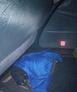 Mr. Heater F232149 Portable Buddy Carry Bag (9BX) Black 20 81XTdsLTTYL