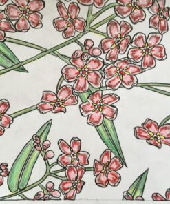 Vive Le Color! Japan (Adult Coloring Book): Color In; De-stress (72 Tear-out Pages) 79 81XUOy06xUL