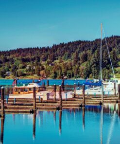 Photomatix Pro 6 PC/Mac 32 81XVFvztG6L