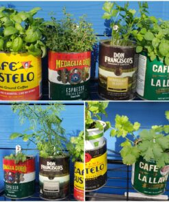 Culinary Herb Seeds Variety Pack - Outdoor & Indoor Herb Garden Kit - 10 Non-GMO Herb Garden Seeds for Planting & Book - Basil Seeds, Dill Seeds, Rosemary Seeds, Thyme Seeds, & More 35 81XW3mSloWL