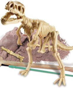 4M KidzLabs Dig A Dino Tyrannosaurus Rex, Paleontology Skeleton Fossil Dinosaur Discovery - STEM Toys Educational Gift for Kids & Teens, Girls & Boys 22 81XY5LkR7pS 3