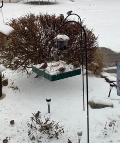 Woodlink Going Green Platform Bird Feeder Model GGPLAT 41 81XaLCkVAnL