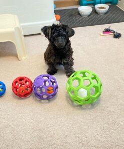 JW Pet Hol-ee Roller Dog Toy Puzzle Ball, Natural Rubber, Medium (4.5 Inch Diameter), Colors May Vary 21 81XfL26 HrL