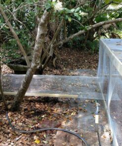 AMAGABELI GARDEN & HOME Hardware Cloth 1/2 inch 48inx50ft 19 Gauge Square Chicken Wire Galvanizing After Welding Fence Mesh Roll Raised Garden bed Plant Supports Poultry Netting Cage Snake Fence JW007 1/2inch 48inx50ft 37 81Xity2gXvL 1