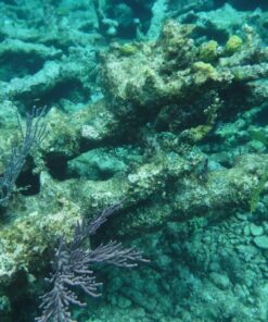 Fujifilm FinePix XP80 Waterproof Digital Camera with 2.7-Inch LCD (Yellow) Yellow 116 81Xj1qcXIzL