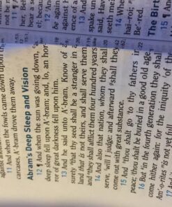 G.T. Luscombe Company, Inc. Accu-Gel Bible-Hi-Glider Bible Study Set | No Bleed Solid Gel Highlighter | No Smearing or Fading | Long Lasting Bright Translucent Colors (Set of 6) 1-Set Set of 6 44 81Xr9fLaDZL