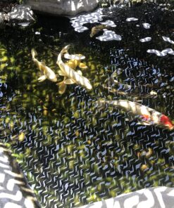 Wondercide - EcoTreat Ready-to-Use Outdoor Pest Control Spray with Natural Essential Oils - Mosquito, Ant, Insect Repellent, Treatment, and Killer - Plant-Based - Safe for Pets , Kids - 32 oz 26 81XsBVSXHEL