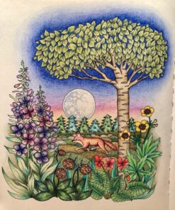 Nightfall Coloring Book: Originally Published in Sweden as "Skymningstimman" 43 81Xtsw1ML