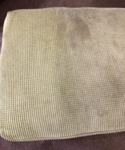 Blue Coral DC22 Upholstery Cleaner Dri-Clean Plus with Odor Eliminator, 22.8 oz. Aerosol 54 81XwyqfYswL