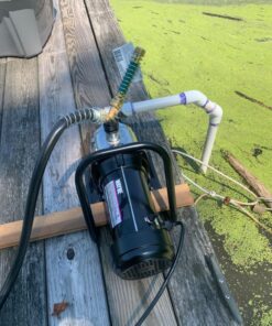 WAYNE PLS100 1 HP Portable Stainless Steel Lawn Sprinkling Pump 25 81XytkG0QXL