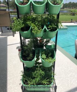 Watex Mobile Green Wall (Double Frame, Spring Bouquet), BPA Free Planters Double Frame 33 81XzrjorH9L