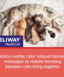 FELIWAY MultiCat Calming Pheromone, 30 Day Refill - 1 Pack 22 81Y a81ODL