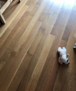 Nature's Miracle Dual Action Hard Floor Stain & Odor Remover, 24-Ounce Spray (P-5553) Original 24 Fl Oz (Pack of 1) 14 81Y5SiPHv1L